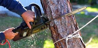 Leaf Removal in Woodway, TX