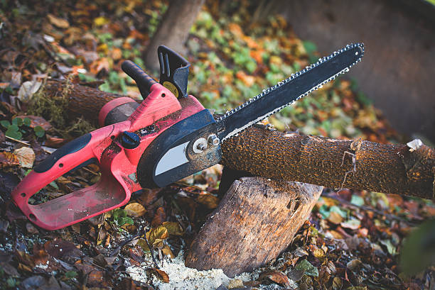 Best Stump Grinding and Removal  in Woodway, TX