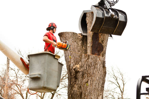 Best Soil Testing and Treatment  in Woodway, TX